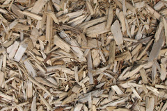 biomass boilers Ardcharnich